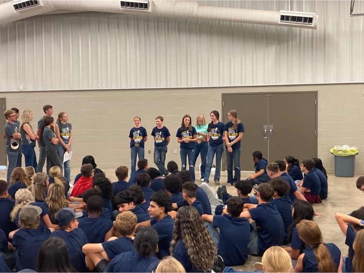 ffa creed